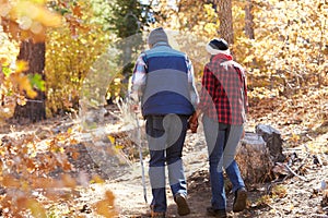 Senior African American Couple Walking Through Fall Woodland