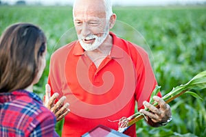 Senior agronomist talking to his young female colleague in a corn field