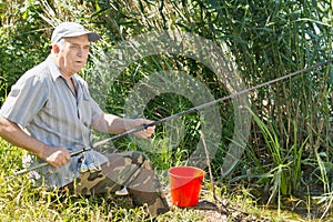 Senior angler fishing from a reed bank