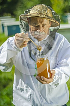 Senior apiarist checking his honey in apiary