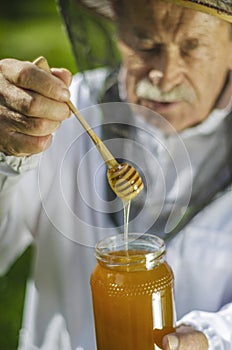 Senior apiarist checking his honey in apiary