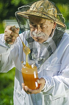 Senior apiarist checking his honey in apiary