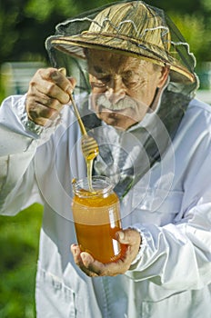 Senior apiarist checking his honey in apiary