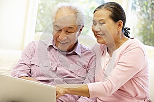 Senior Asian couple using laptop