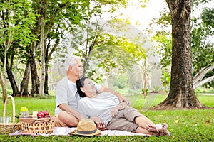 Senior Asian couples sit for picnics and relax in the park. They enjoy life after retirement.