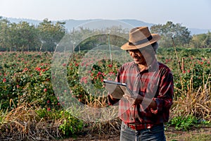 Senior Asian Farmer Holding Tablet in Field