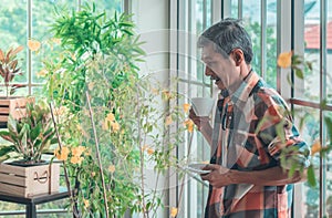 Senior Asian man drinking coffee and relaxing alone in his houseplant room while in quarantine at home