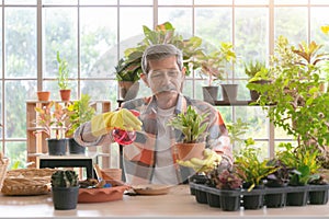 Senior asian retirement old man doing a hobby relax in gardening and water spraying tree plant in garden farm photo