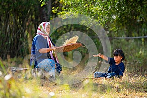 Senior Asian woman work with winnow rice using basketry and little girl stay beside and also work with rice