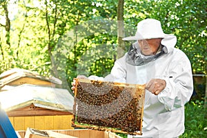 Senior beekeeper working at his apiary