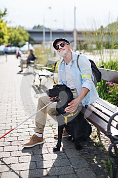 Senior blind man with guide dog sitting on bench in park in city.