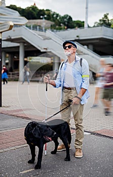 Senior blind man with guide dog standing outdoors in city.