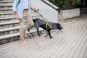 Senior blind man with guide dog walking down the stairs in city, midsection.