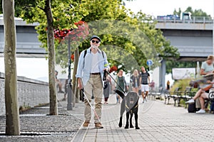 Senior blind man with guide dog walking outdoors in city.