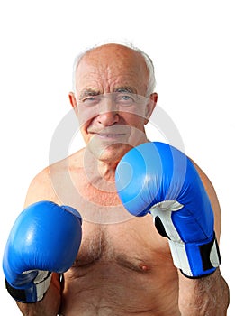 Senior Boxer