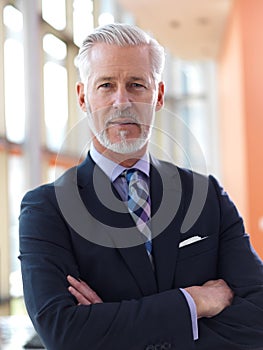 Senior business man portrait