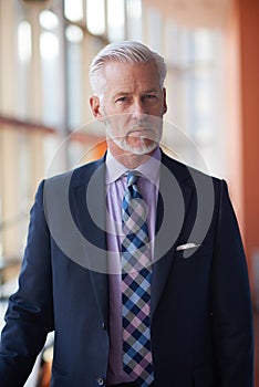Senior business man portrait