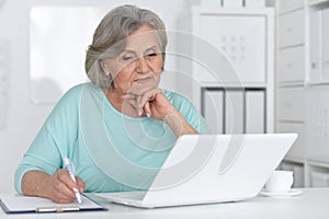 Senior business woman working in office with laptop