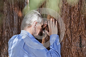 Senior businessman leaning on a tree trunk of a sequia photo