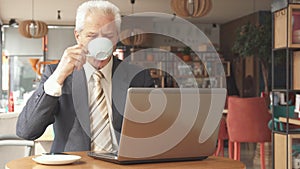 Senior businessman looking at the laptop screen