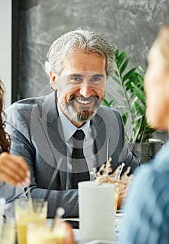 senior businessman office work business meeting mature gray hair portrait happy lawyer entrepreneur