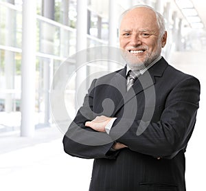 Senior businessman portrait