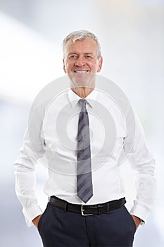 Senior businessman portrait