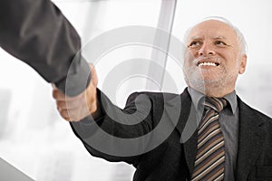 Senior businessman shaking hands