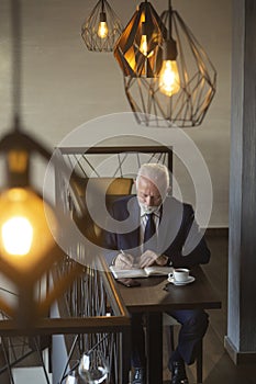 Senior businessman taking notes