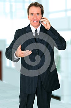 Senior Businessman Talking On The Phone