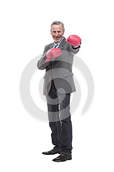 senior businessman wearing a gray suit with boxing gloves in a victory pose