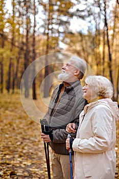 senior caucasian couple with nordic sticks walking in autumn park, enjoying the weather