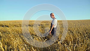 Senior caucasian farmer walking on golden wheat field. Farming and agriculture concept