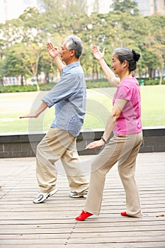 Senior Chinese Couple Doing Tai Chi In Park photo