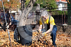 Senior collecting fallen autumn leaves in the yard