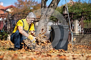 Senior collecting fallen autumn leaves in the yard