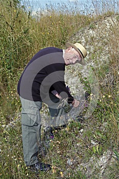 Senior collecting herbs