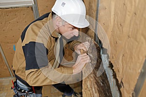Senior contractor fitting wall insulation