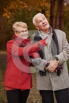 Senior couple during autumn