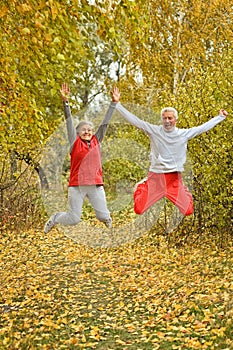 Senior couple in autumn park