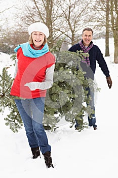 Senior Couple Carrying Christmas Tree In Snow