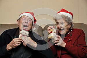 Senior couple celebrating christmas