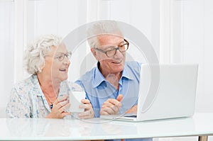 Senior couple with computer