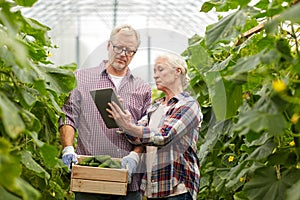 Senior couple with cucumbers and tablet pc on farm