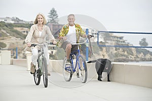 Senior Couple Cycling With A Dog