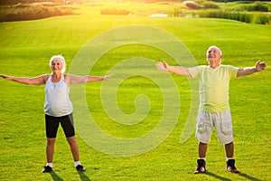 Senior couple does physical exercise.