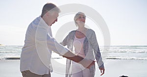 Senior, couple or dog at beach with play, bonding or outdoor for holding hands, holiday or vacation. Elderly, man or