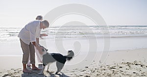 Senior, couple or dog at beach with play, bonding and outdoor for retirement, holiday or vacation. Elderly, man or woman