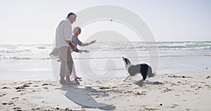 Senior, couple or dog at beach with play, bonding and outdoor for retirement, holiday or vacation. Elderly, man or woman