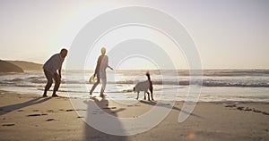 Senior, couple or dog at beach with play, bonding and sunset for retirement, holiday or vacation. Elderly, man or woman